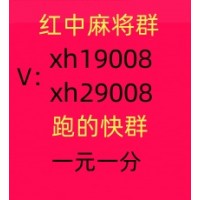 哪里有广东红中麻将一元一分群【百科推荐】